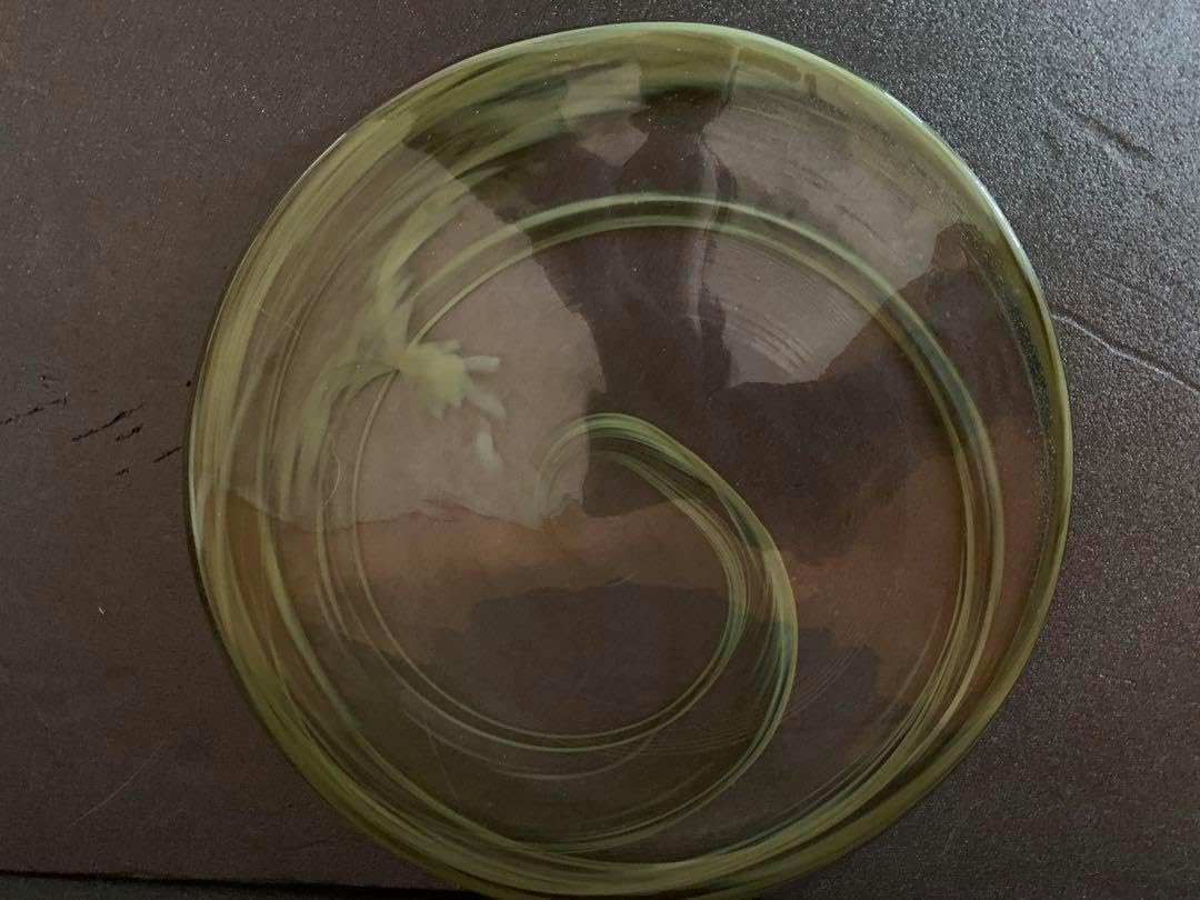 Sghr ニュアンスプレート　グリーン　4枚. スガハラ Sghr ニュアンスプレート グリーン 4枚. スガハラ